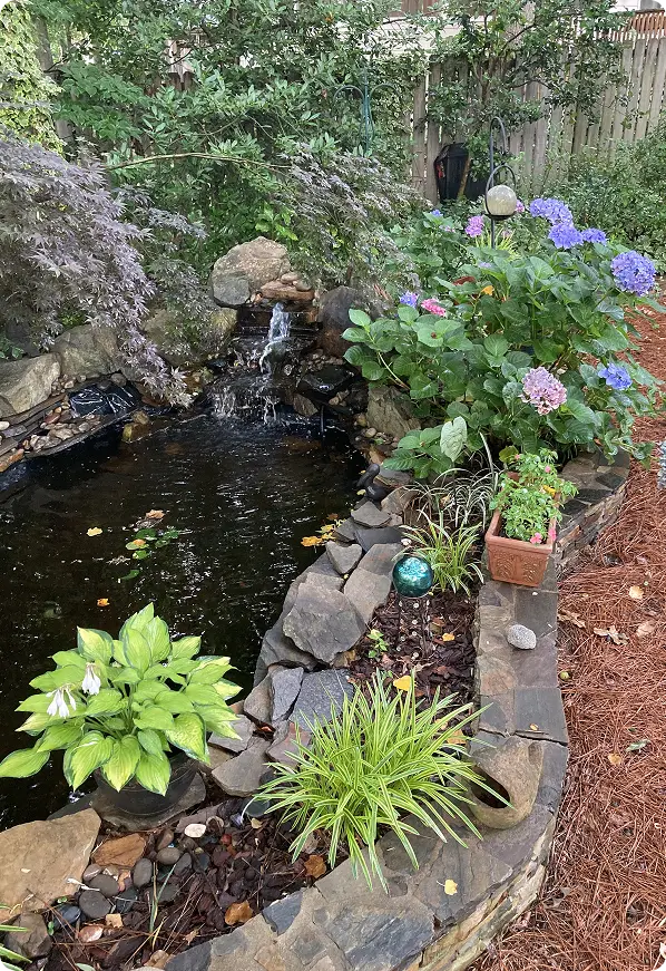 Cool Review About Pond Construction Near Me